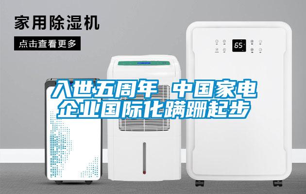 入世五周年 中國家電企業國際化蹣跚起步