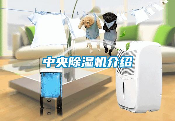 中央除濕機介紹