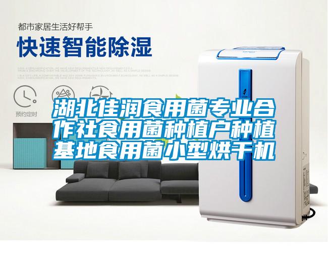 湖北佳潤食用菌專業合作社食用菌種植戶種植基地食用菌小型烘干機