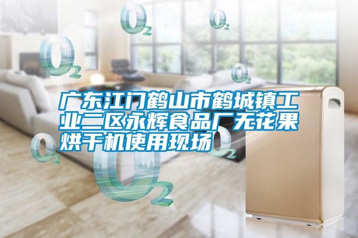廣東江門鶴山市鶴城鎮工業二區永輝食品廠無花果烘干機使用現場