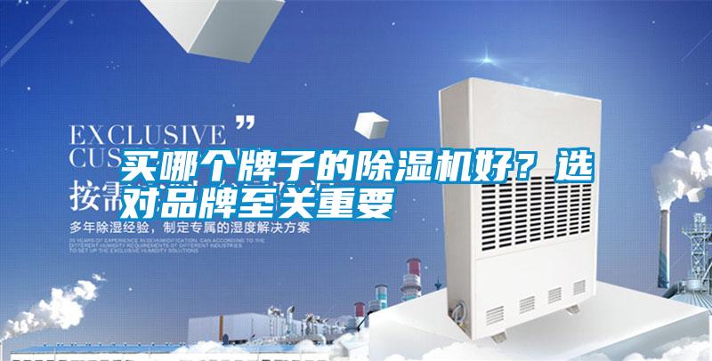 買哪個牌子的除濕機好？選對品牌至關重要