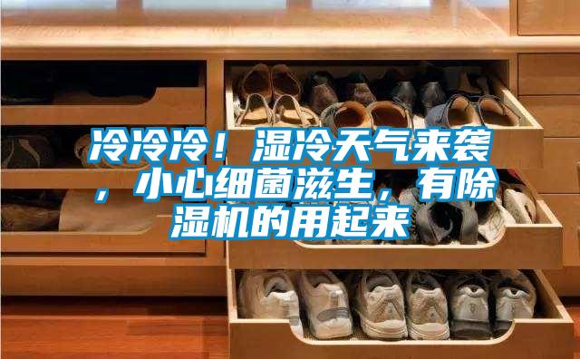 冷冷冷！濕冷天氣來襲，小心細菌滋生，有除濕機的用起來