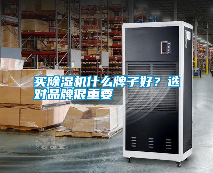 買除濕機(jī)什么牌子好？選對品牌很重要