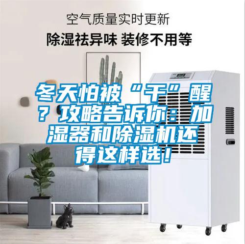 冬天怕被“干”醒？攻略告訴你：加濕器和除濕機還得這樣選！