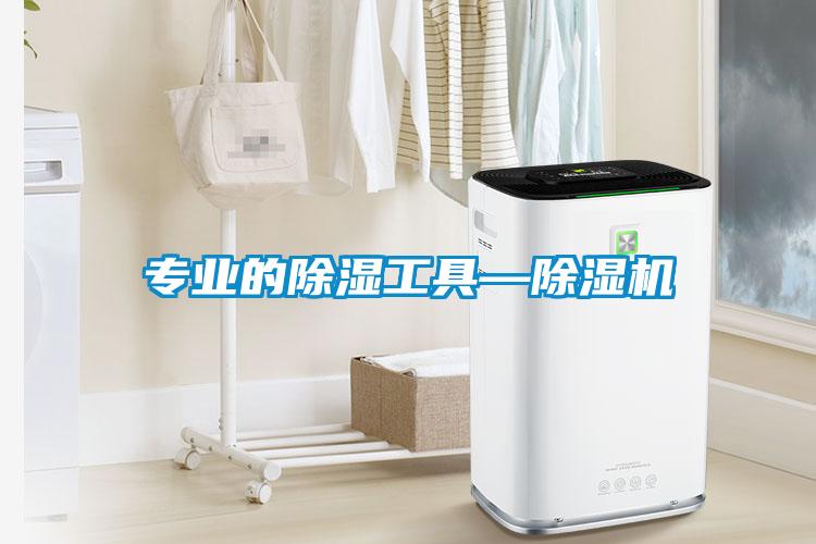 專業的除濕工具—除濕機