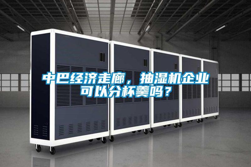 中巴經(jīng)濟(jì)走廊,抽濕機(jī)企業(yè)可以分杯羹嗎?