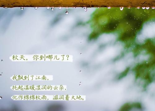 常見問題“無晴”陰雨天 “有晴”除濕機