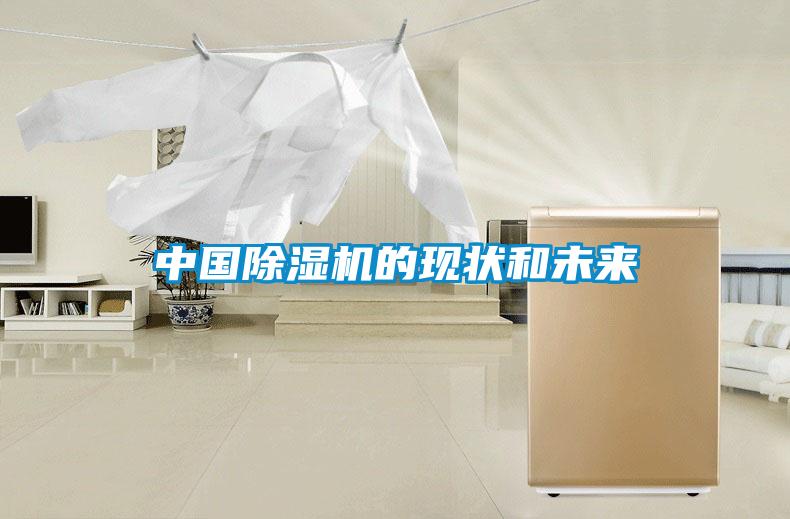 中國(guó)除濕機(jī)的現(xiàn)狀和未來