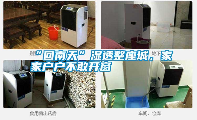 “回南天”濕透整座城，家家戶戶不敢開窗