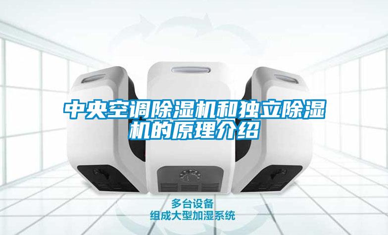 中央空調(diào)除濕機和獨立除濕機的原理介紹