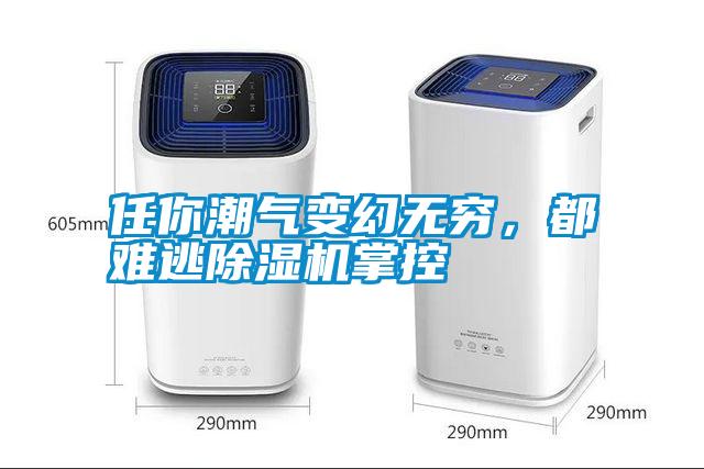 任你潮氣變幻無窮，都難逃除濕機掌控