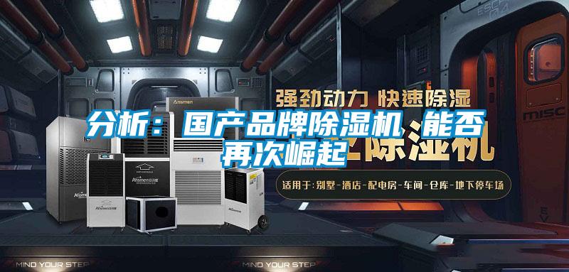 分析：國產品牌除濕機 能否再次崛起