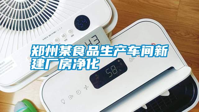 鄭州某食品生產(chǎn)車間新建廠房?jī)艋?/></p>
<p style=
