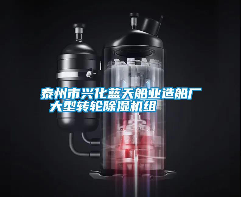 泰州市興化藍天船業造船廠 大型轉輪除濕機組