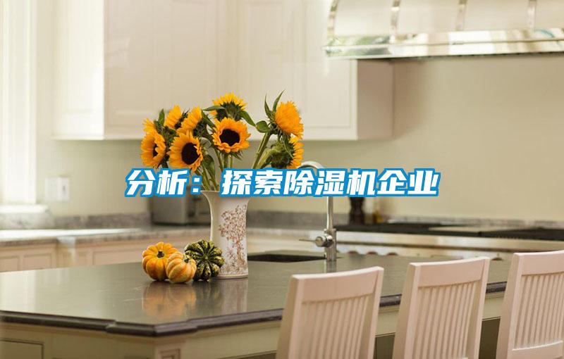 分析：探索除濕機企業