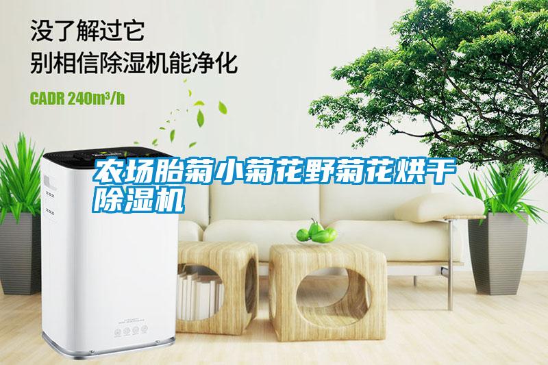農(nóng)場(chǎng)胎菊小菊花野菊花烘干除濕機(jī)