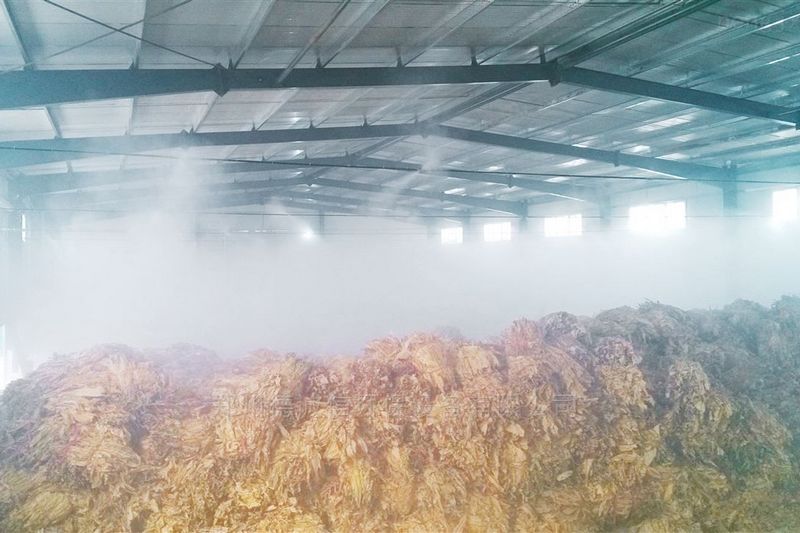 提升煙葉加工質量，高效回潮很重要