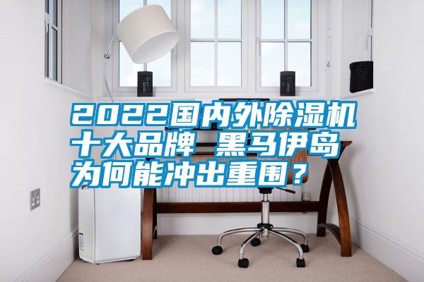2022國內(nèi)外除濕機十大品牌 黑馬伊島為何能沖出重圍？