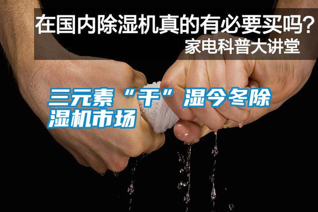 三元素“干”濕今冬除濕機市場