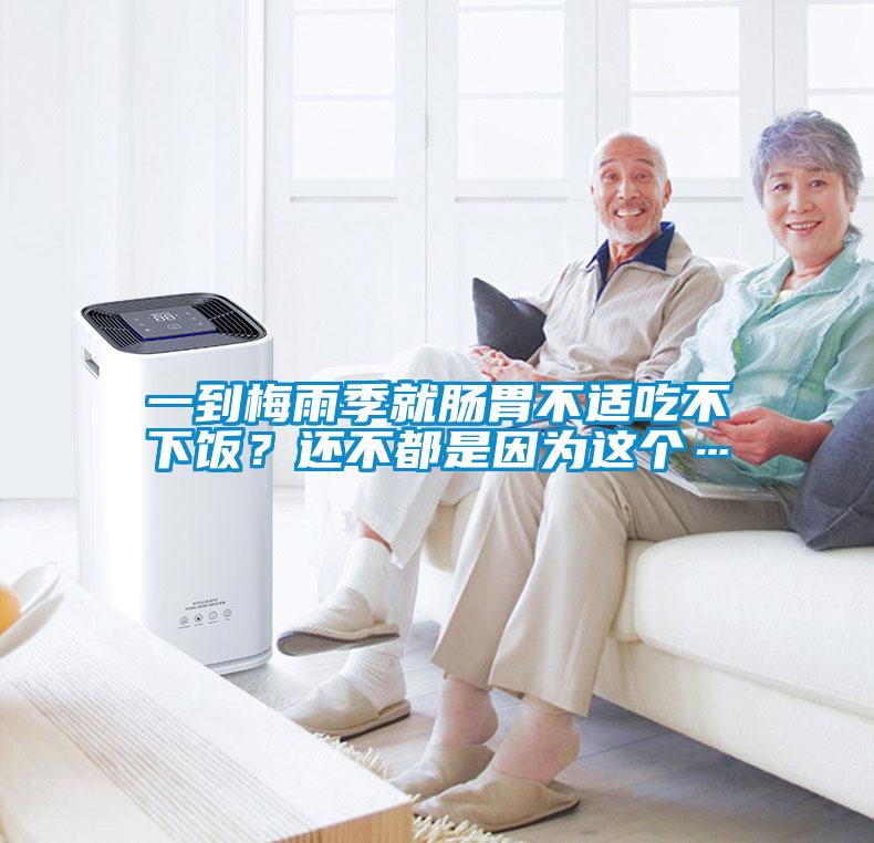 一到梅雨季就腸胃不適吃不下飯？還不都是因?yàn)檫@個…