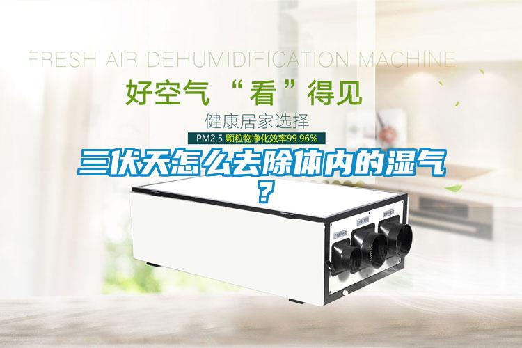 三伏天怎么去除體內的濕氣？