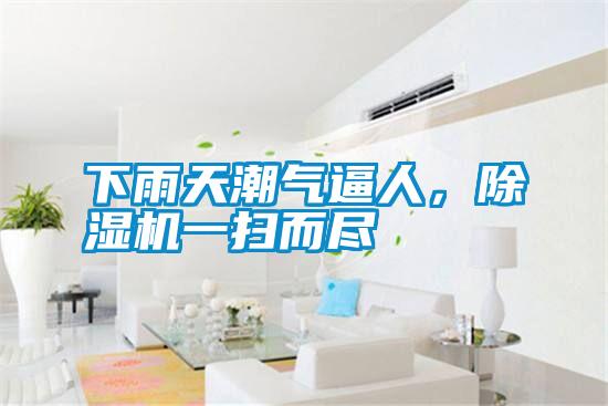 下雨天潮氣逼人，除濕機一掃而盡
