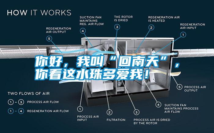 你好，我叫“回南天”，你看這水珠多愛我！