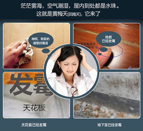 梅雨季，除濕機助你除潮去濕