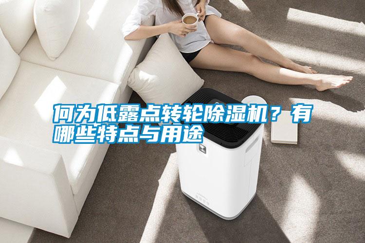 何為低露點轉輪除濕機？有哪些特點與用途
