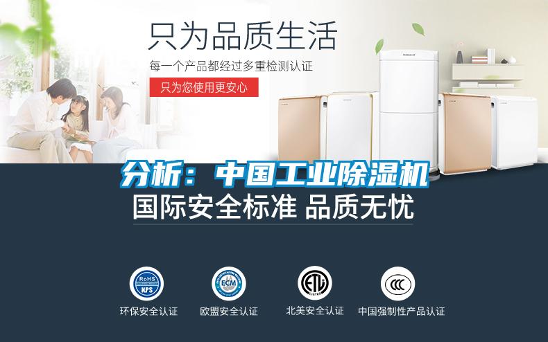 分析：中國工業除濕機