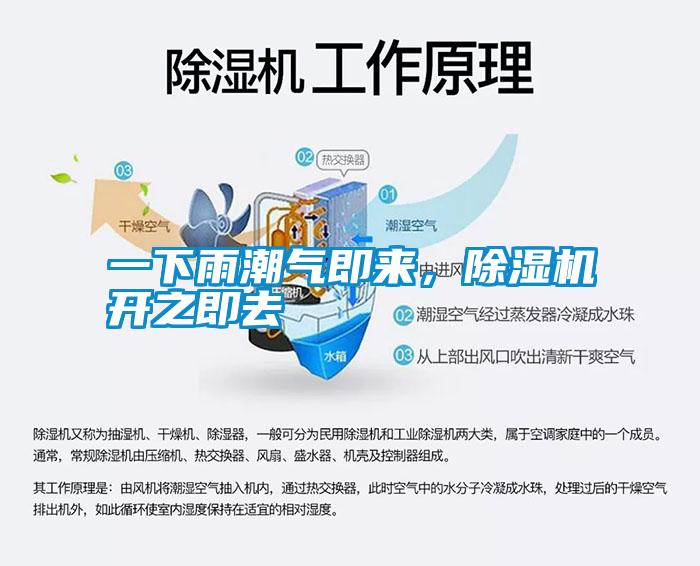 一下雨潮氣即來，除濕機開之即去