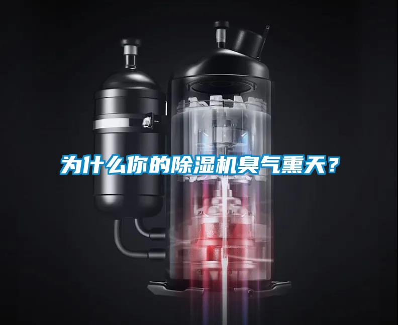 為什么你的除濕機(jī)臭氣熏天？