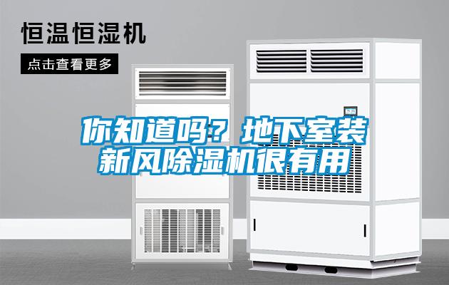 你知道嗎？地下室裝新風(fēng)除濕機(jī)很有用