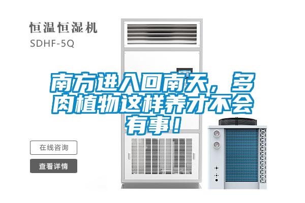 南方進入回南天，多肉植物這樣養才不會有事！