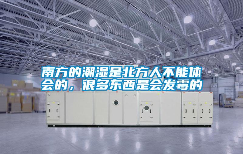 南方的潮濕是北方人不能體會的，很多東西是會發霉的