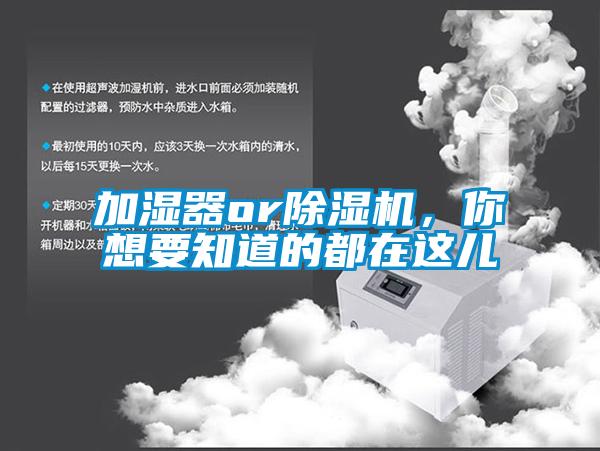 加濕器or除濕機，你想要知道的都在這兒