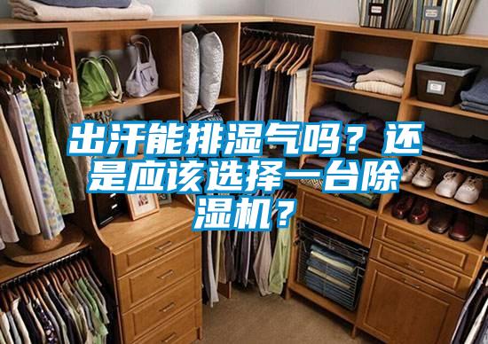 出汗能排濕氣嗎？還是應(yīng)該選擇一臺(tái)除濕機(jī)？