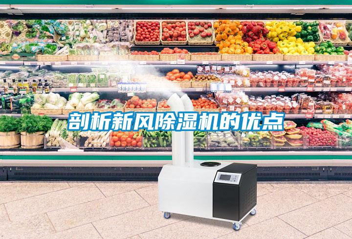 剖析新風除濕機的優點