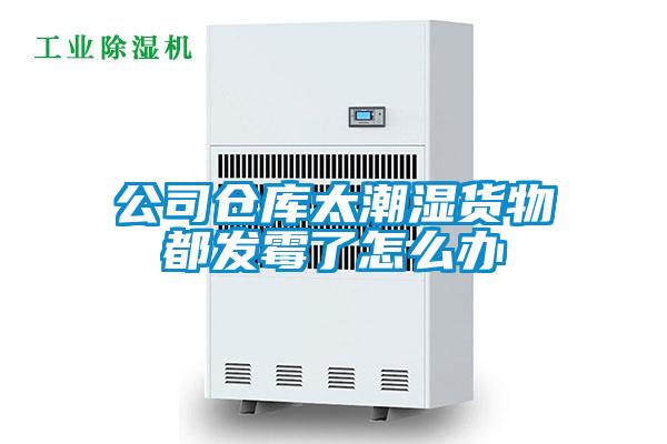 公司倉庫太潮濕貨物都發(fā)霉了怎么辦