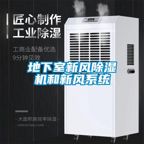 地下室新風(fēng)除濕機(jī)和新風(fēng)系統(tǒng)