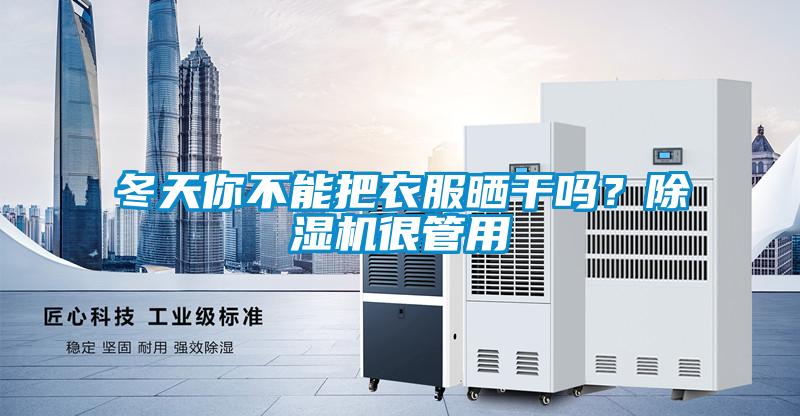 冬天你不能把衣服曬干嗎？除濕機很管用