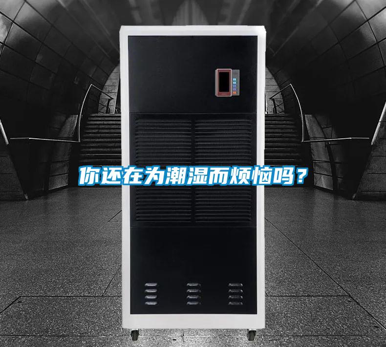 你還在為潮濕而煩惱嗎？