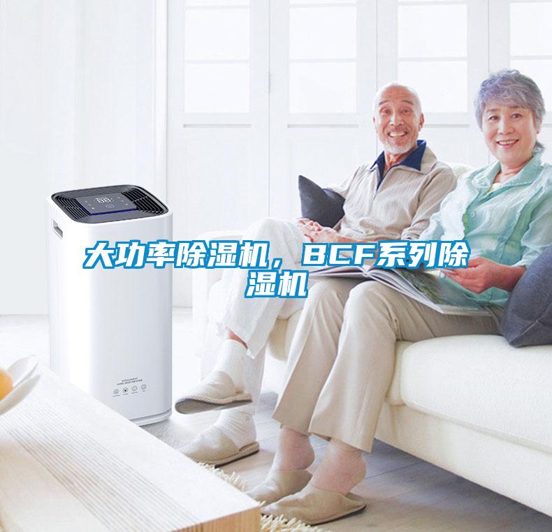 大功率除濕機，BCF系列除濕機