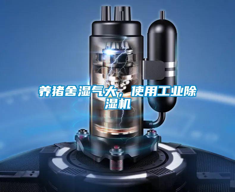 養豬舍濕氣大，使用工業除濕機