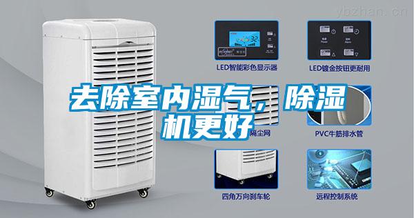 去除室內濕氣，除濕機更好