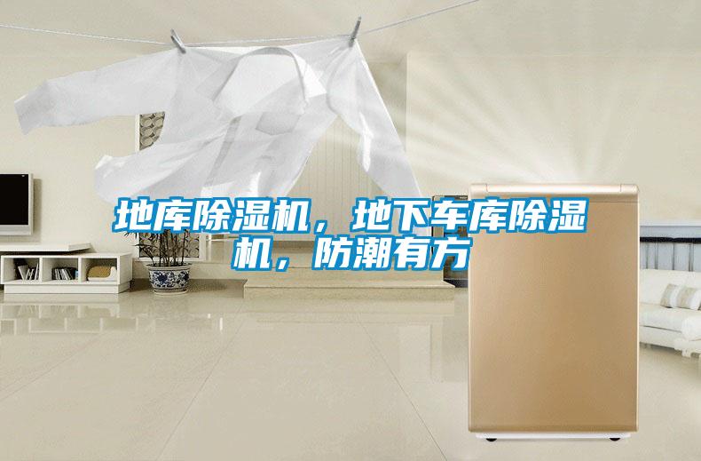 地庫除濕機，地下車庫除濕機，防潮有方