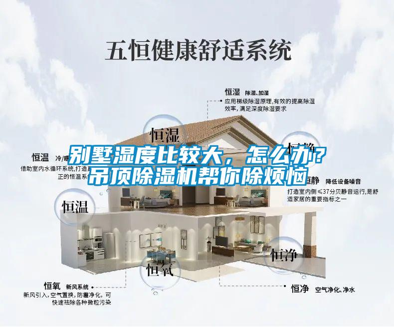 別墅濕度比較大,怎么辦?吊頂除濕機幫你除煩惱