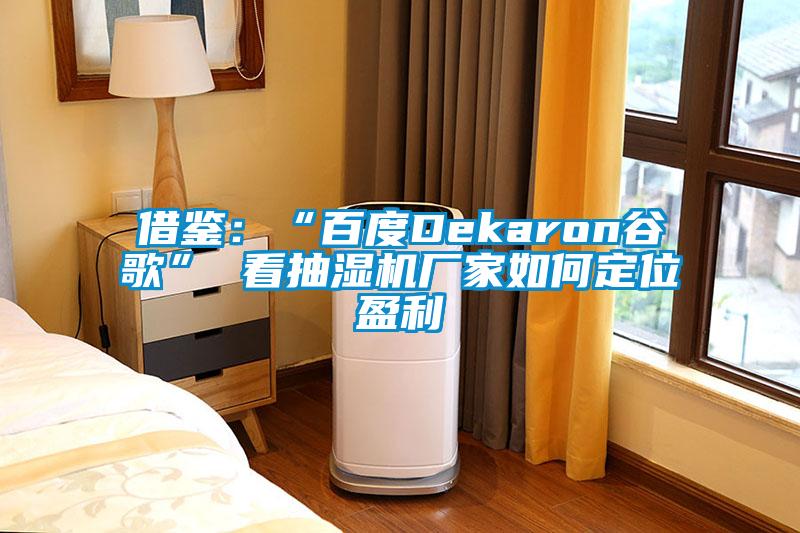 借鑒：“百度Dekaron谷歌” 看抽濕機廠家如何定位盈利