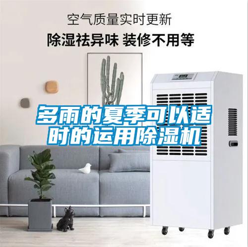 多雨的夏季可以適時的運用除濕機