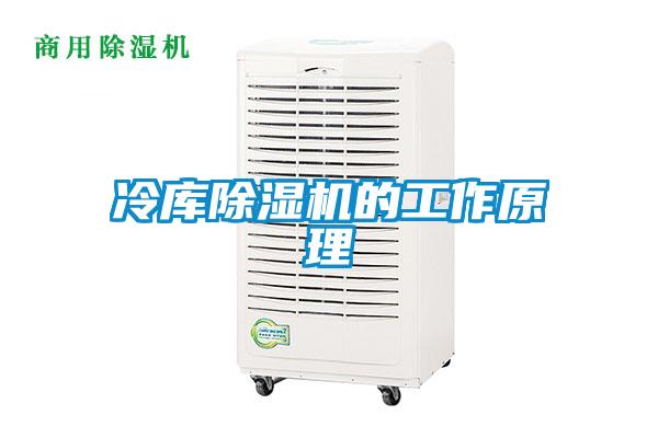 冷庫(kù)除濕機(jī)的工作原理